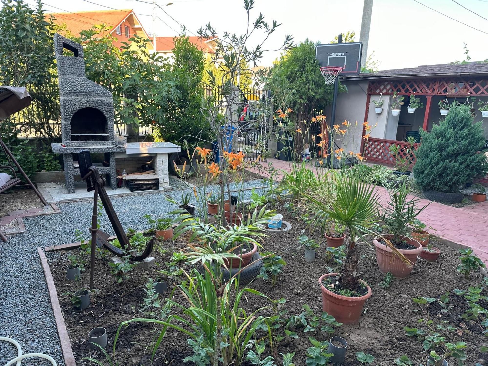 Casa Vio Parter Apartment Eforie Bagian luar foto